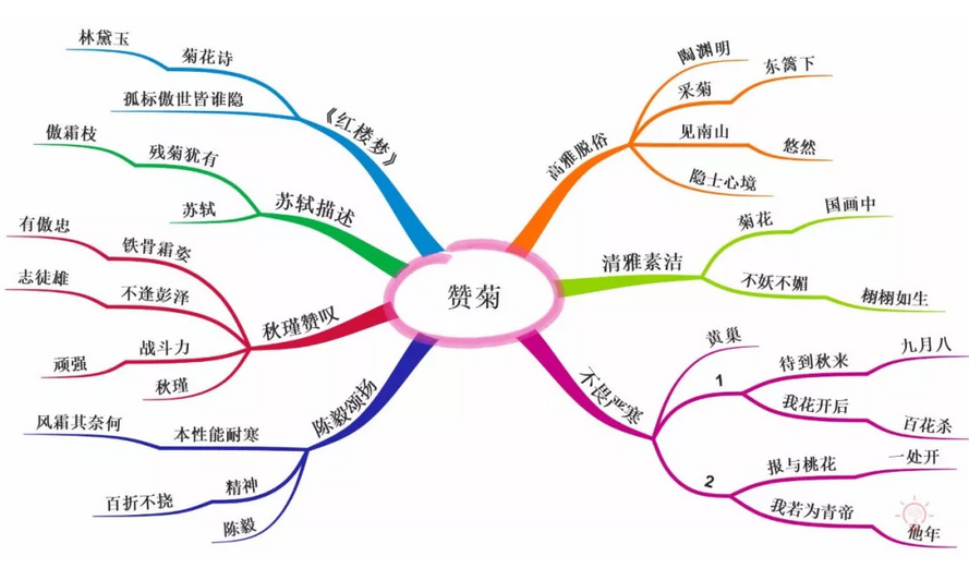 如何利用思维导图,打造全方位高效生活?