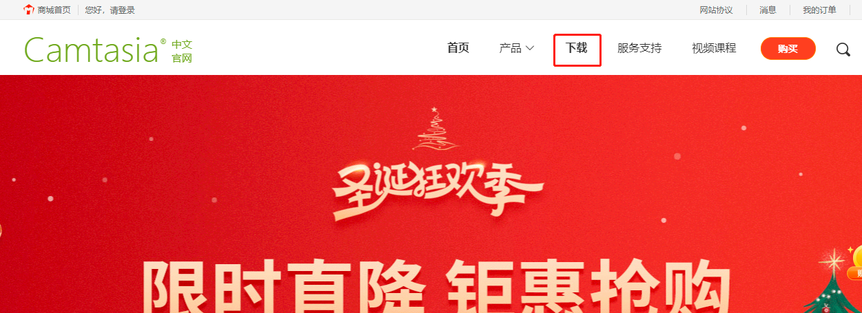 图5：中文网站
