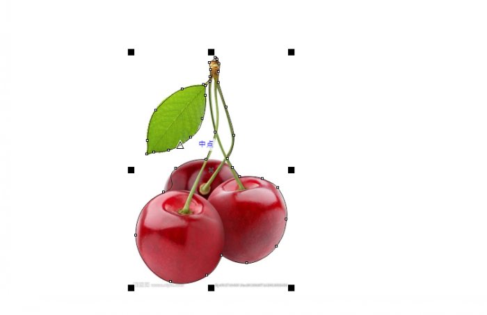 coreldraw钢笔工具抠图教程