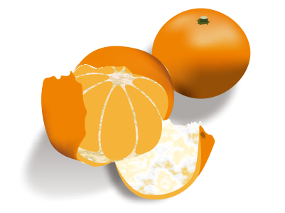CDR画橘子