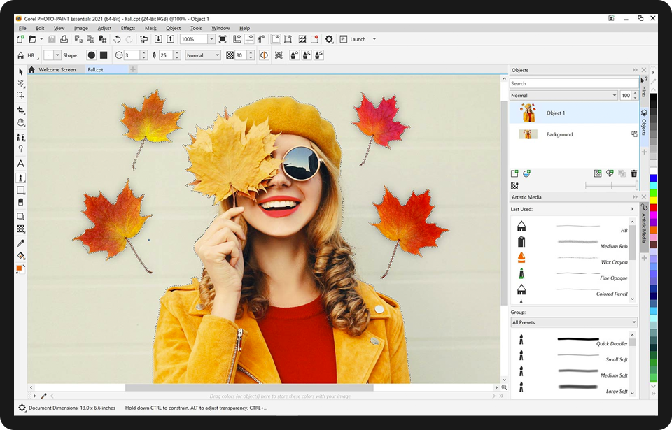 Что входит в состав coreldraw essentials 2020