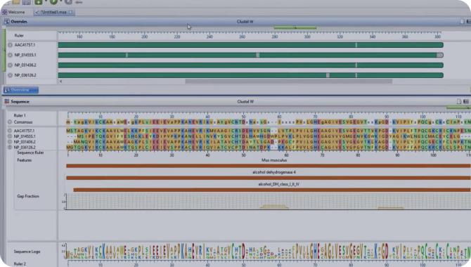 什么是 DNASTAR Lasergene Molecular Biology？