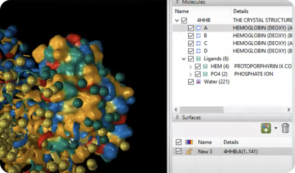 DNASTAR Lasergene Protein统一的工作流