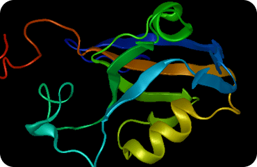 NovaFold AI（Nova应用）