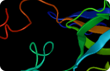 NovaDock（Nova应用）