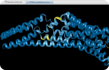 NovaFold AI Boltz(Nova应用)
