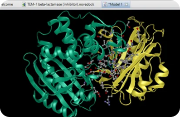 NovaFold AI-Multimer（Nova应用）