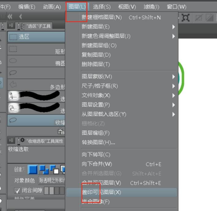  “图层-盖印可见图层”选项
