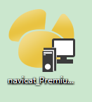 Navicat Premium 安装图解