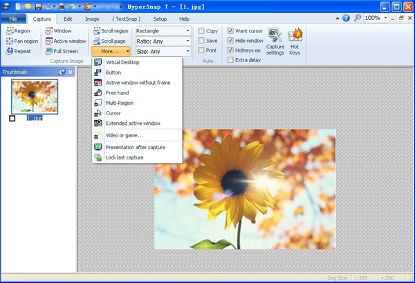 Hypersnap 9.1.3 for windows download