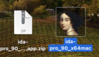 MACOS系统安装 IDA PRO