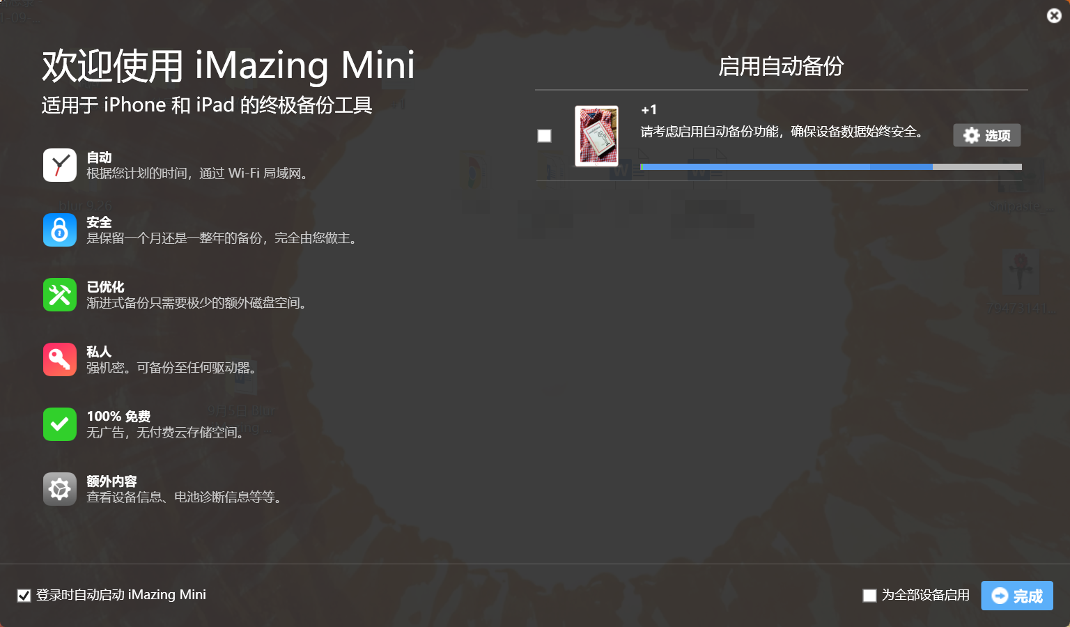 图2：iMazing Mini主界面