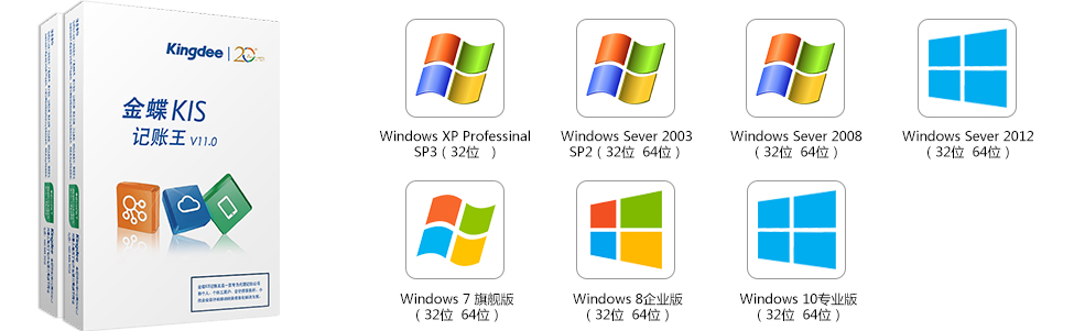 金蝶KIS记账王支持系统