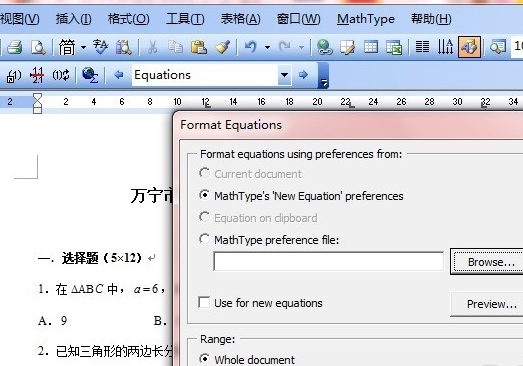 Format Equations对话框
