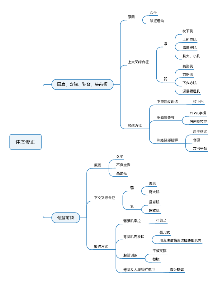 图片1：体态修正思维导图