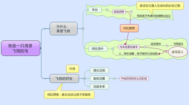 逻辑思维导图