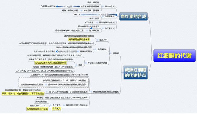 生物思维导图