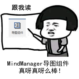 MindManager导图组件