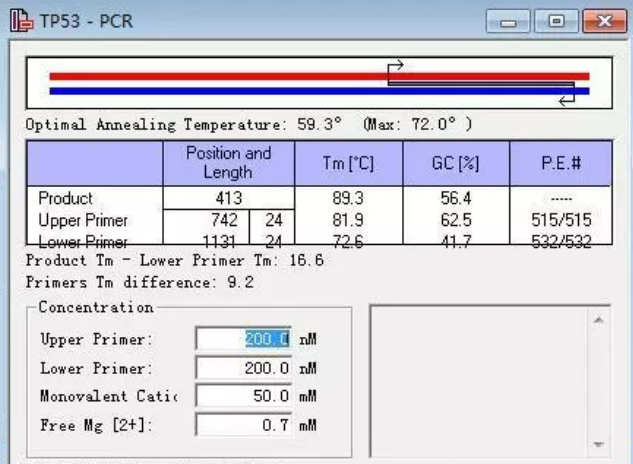 Oligo软件如何导出数据到Excel