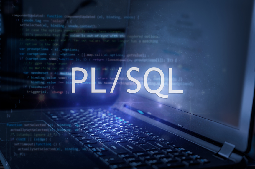 plsql支持导入什么数据