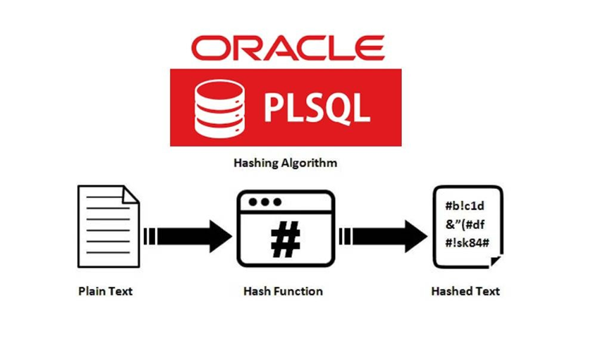 plsql查询不了中文怎么办