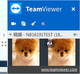 TeamViewer中的视频通话显示窗口