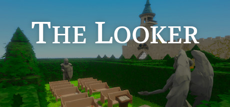 The Looker 海报