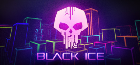 Black Ice 海报